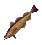Dreamlight Valley Cod