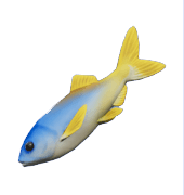 Dreamlight Valley Herring