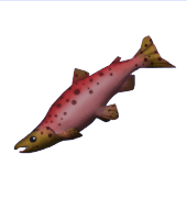 Dreamlight Valley Salmon