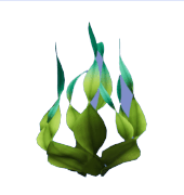 Dreamlight Valley Seaweed