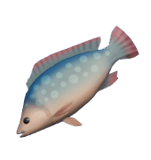 Dreamlight Valley Tilapia
